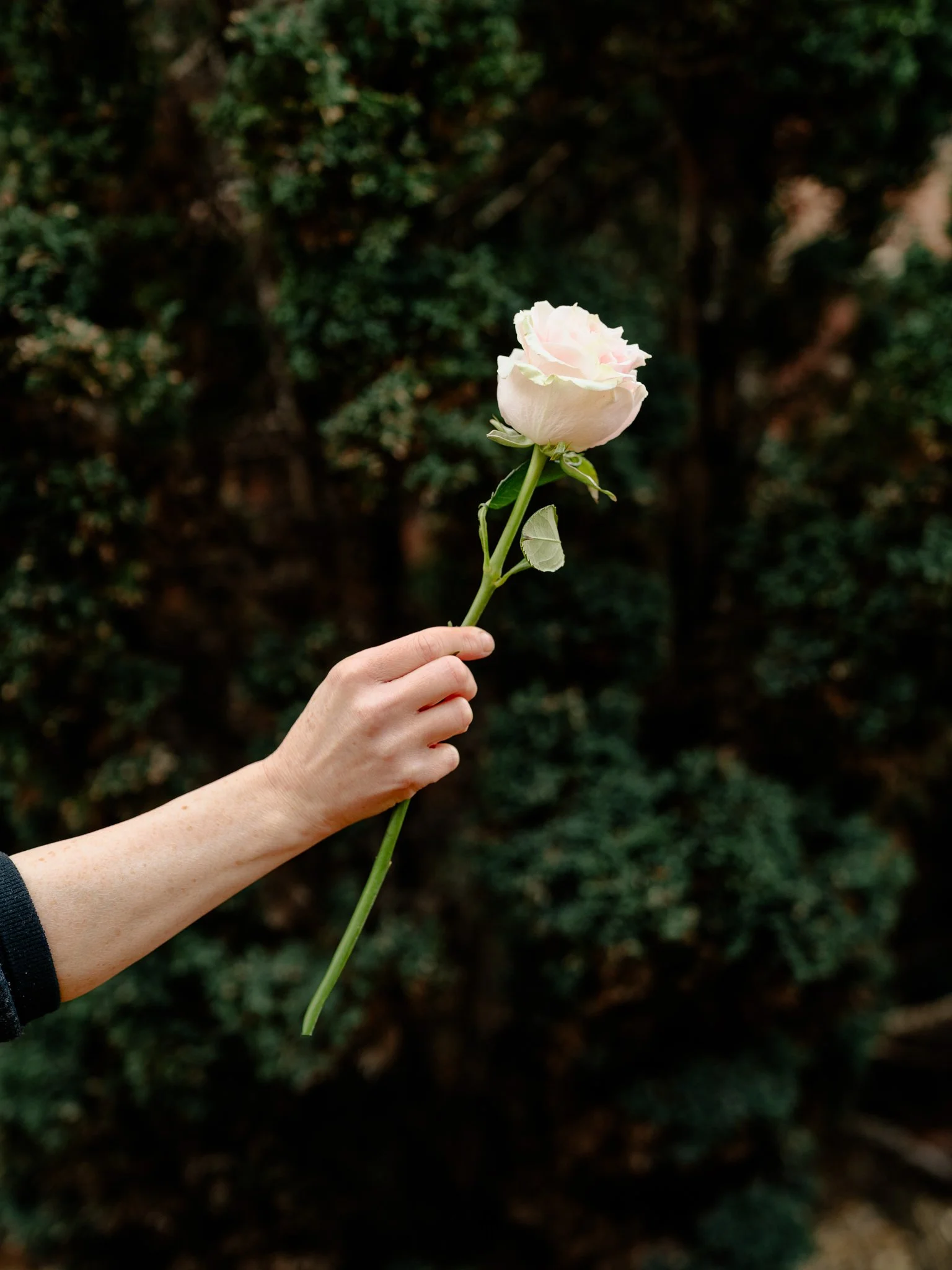 Plantology Jan 2025-176.jpg