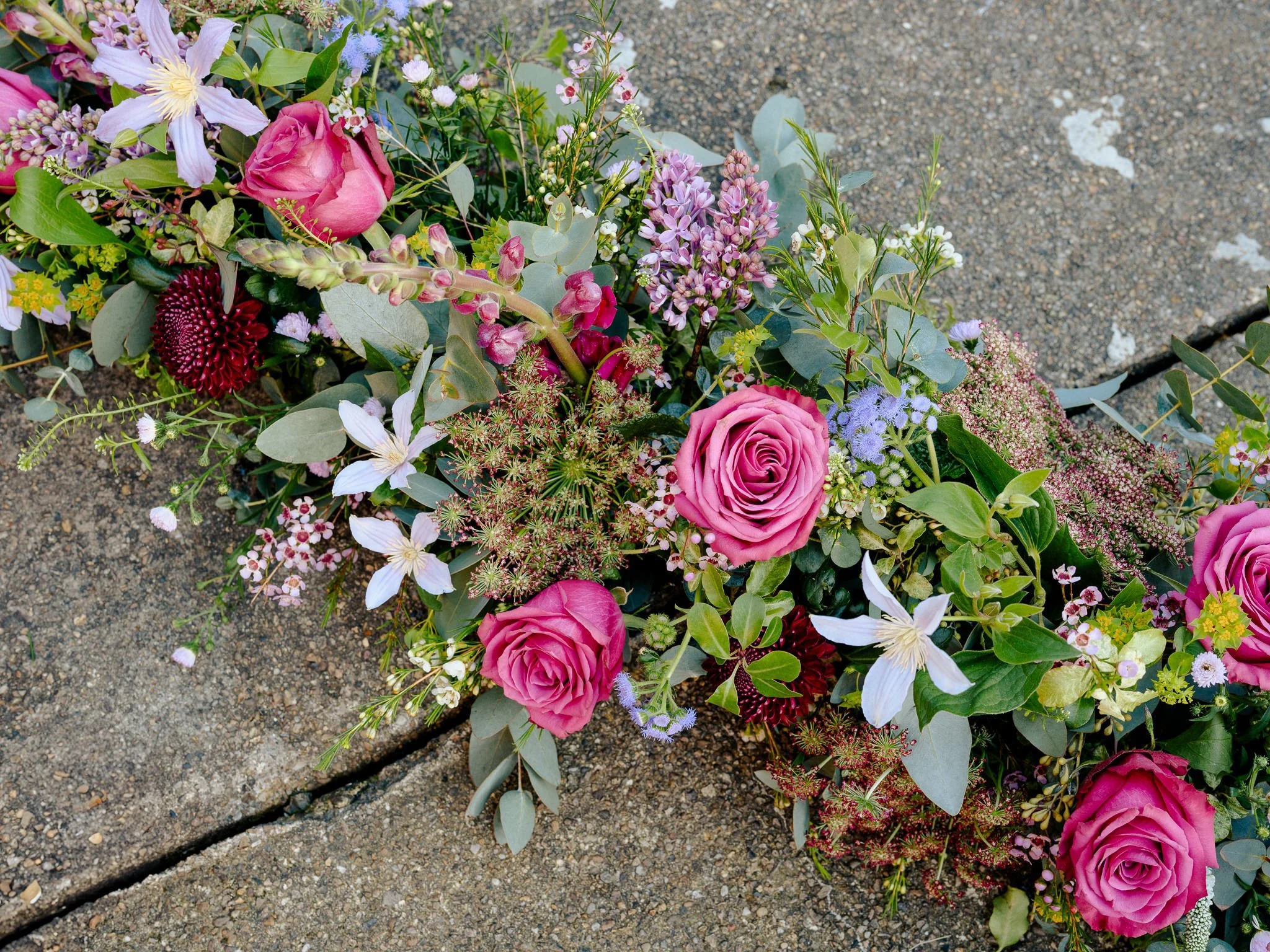 Plantology Jan 2025-44.jpg