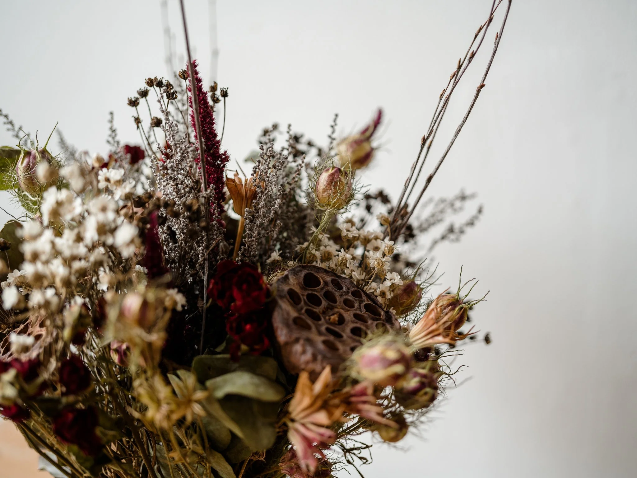 Plantology - November-20.jpg