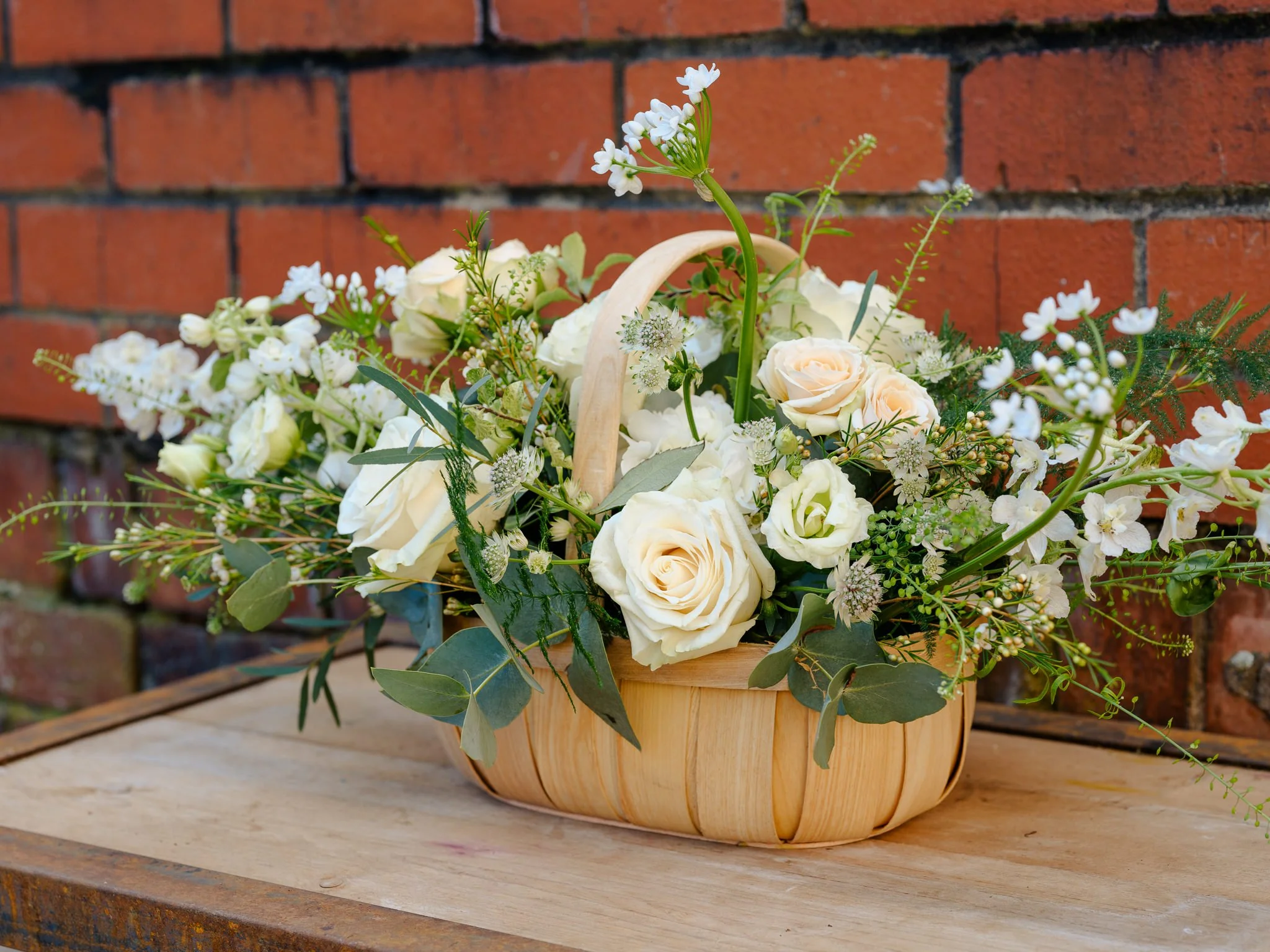 Plantology Jan 2025-20.jpg