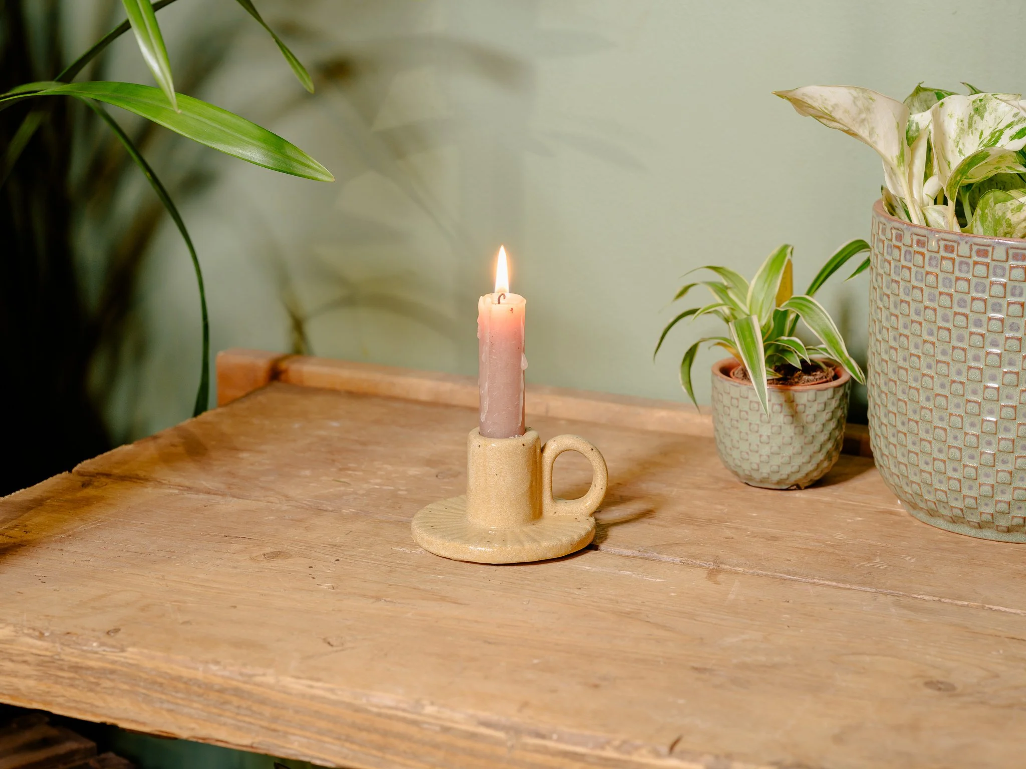 Plantology Jan 2025-161.jpg