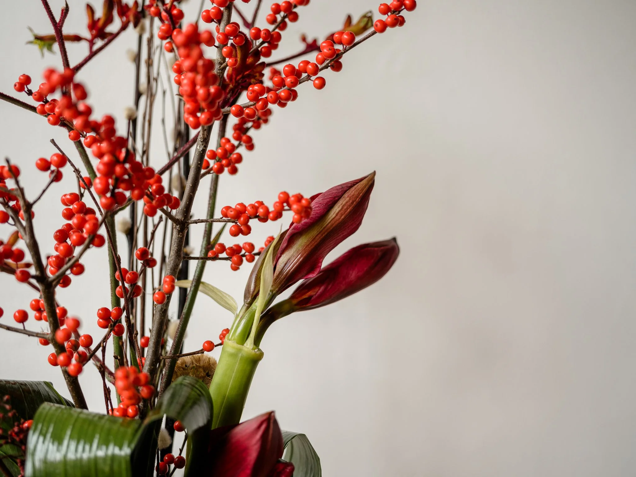 Plantology - November-40.jpg