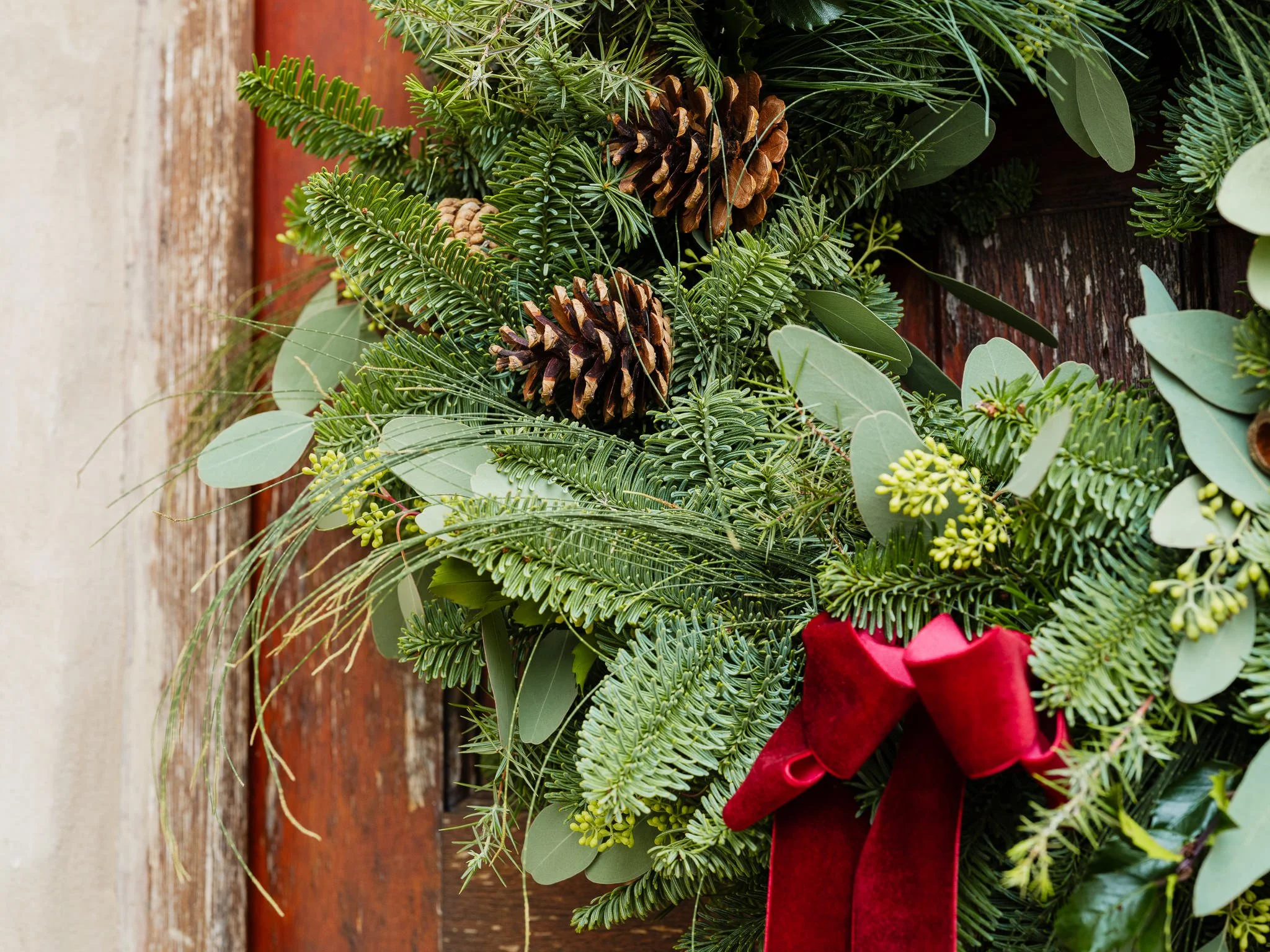 Plantology Xmas-29.jpg