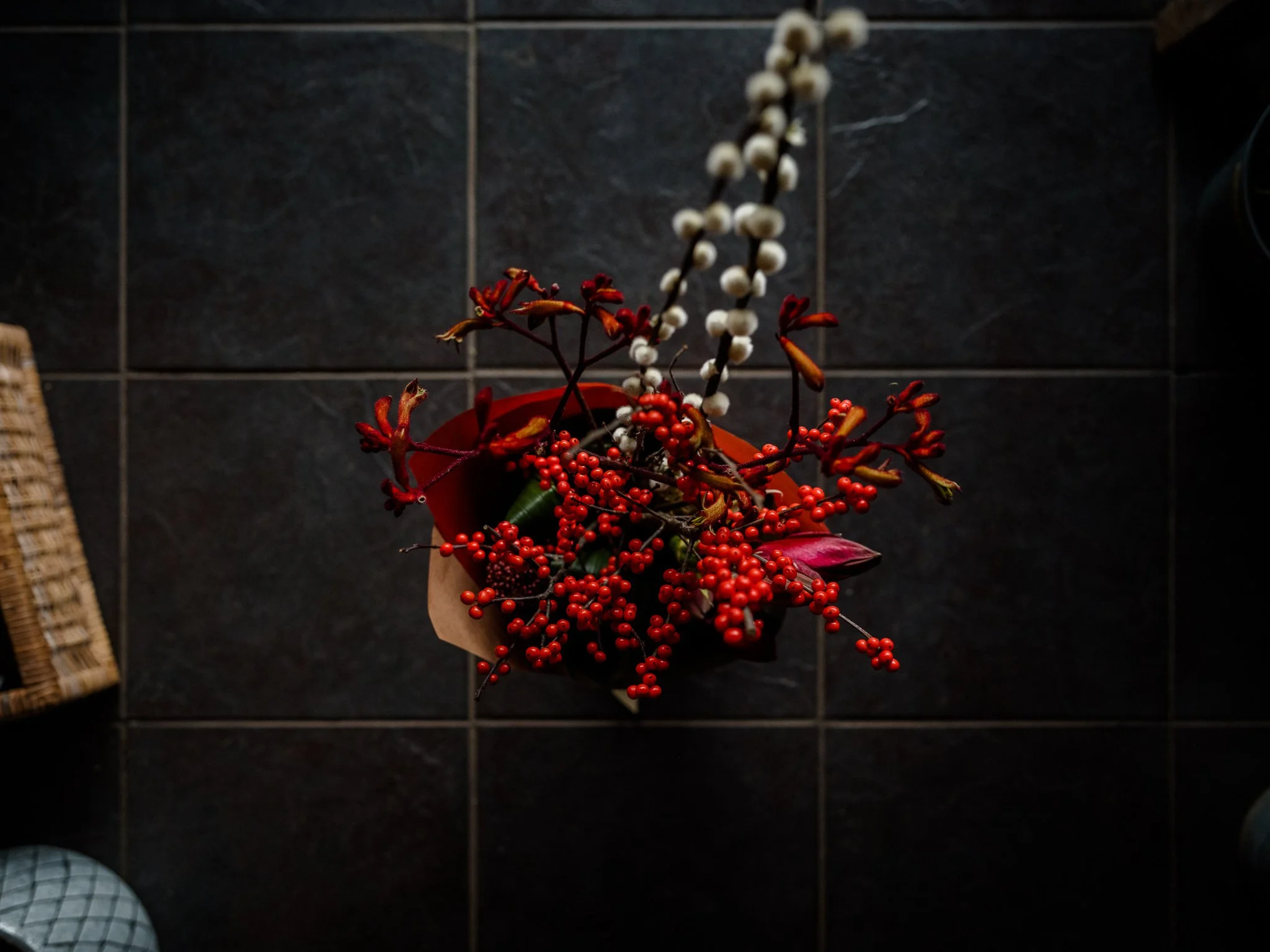 Plantology - November-72.jpg