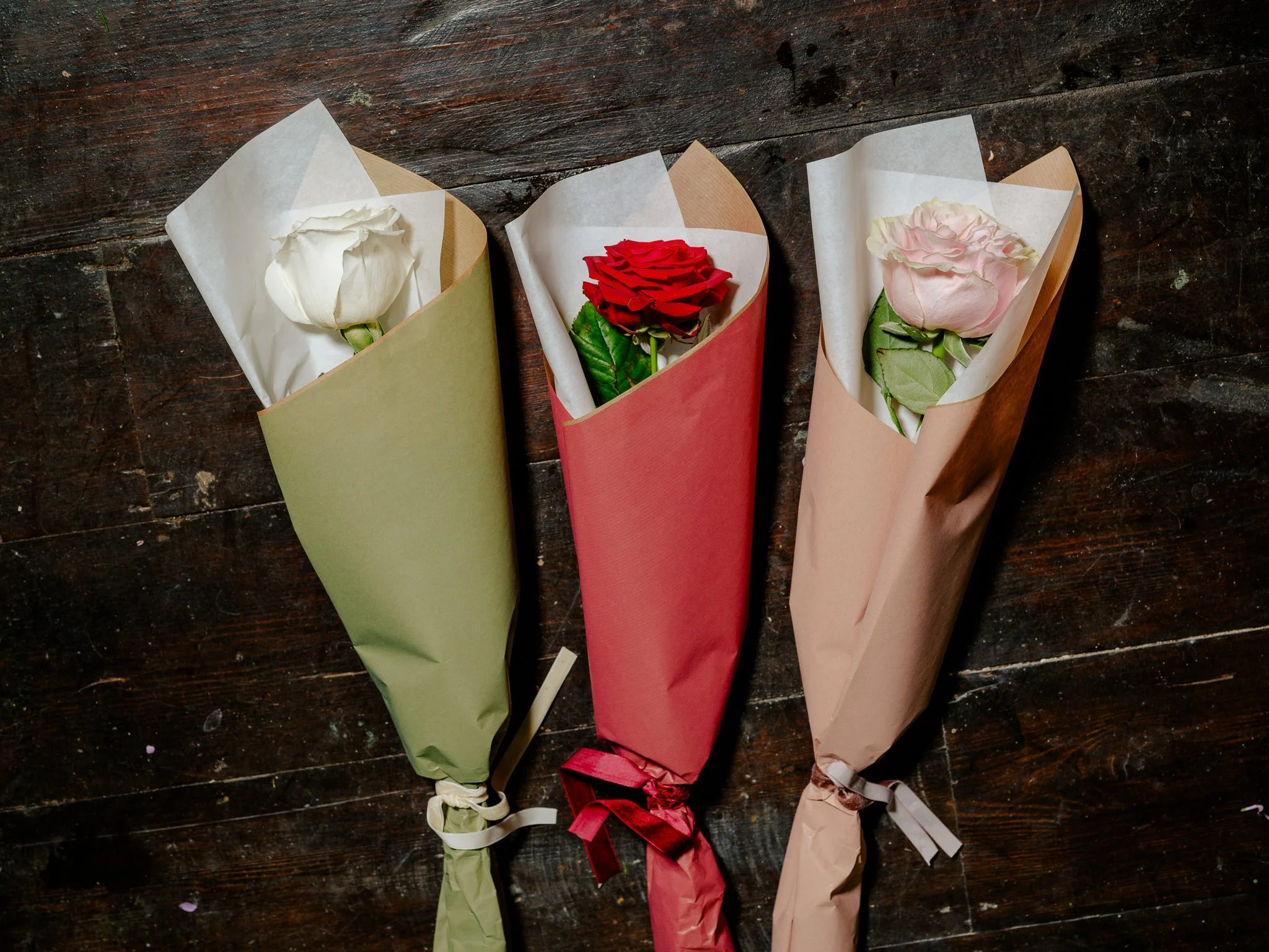 Plantology Jan 2025-172.jpg