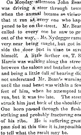 8-13-1884 (A Sad Accident).jpg