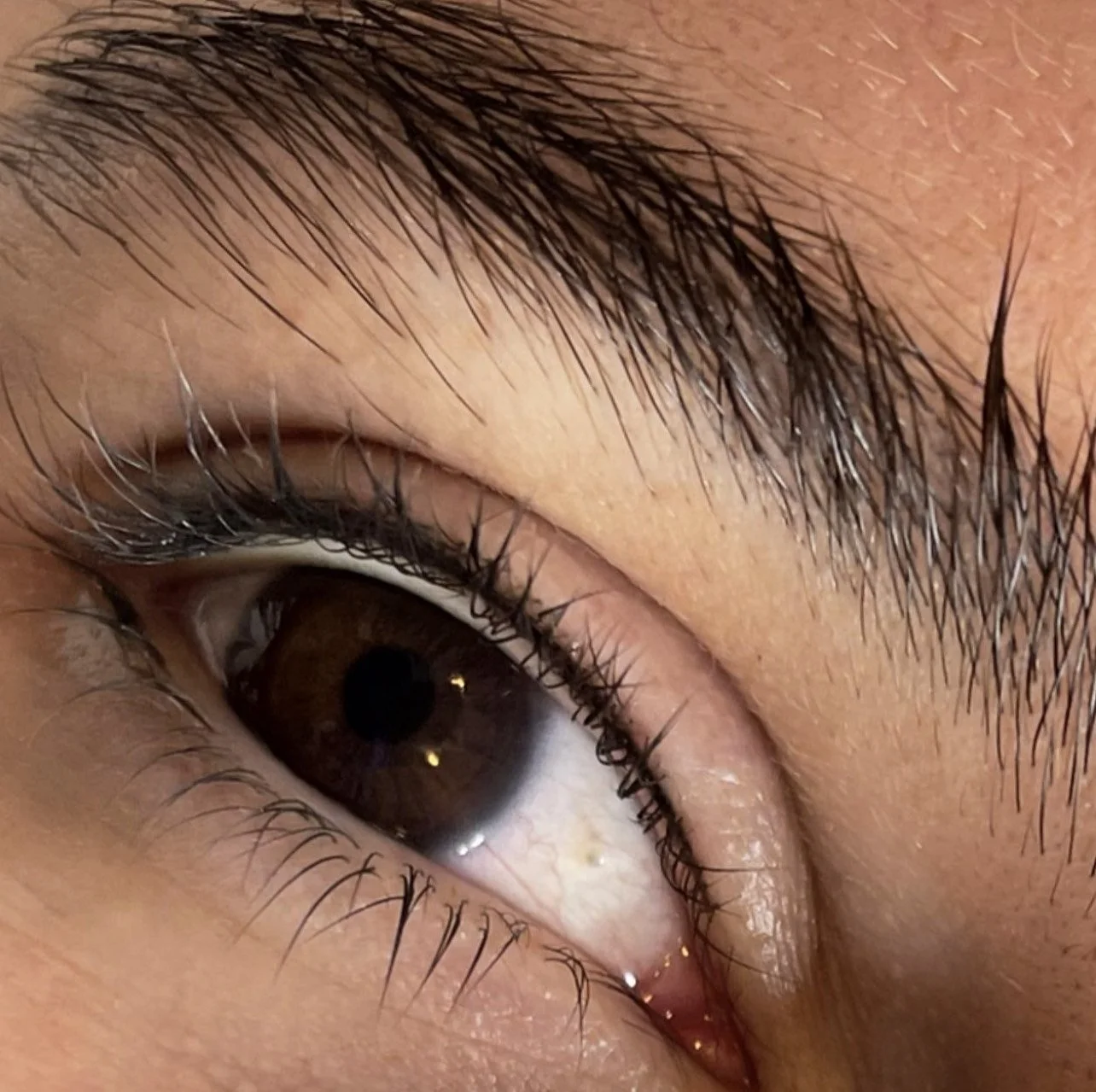 Precision Lash Lines — Contour + Ink