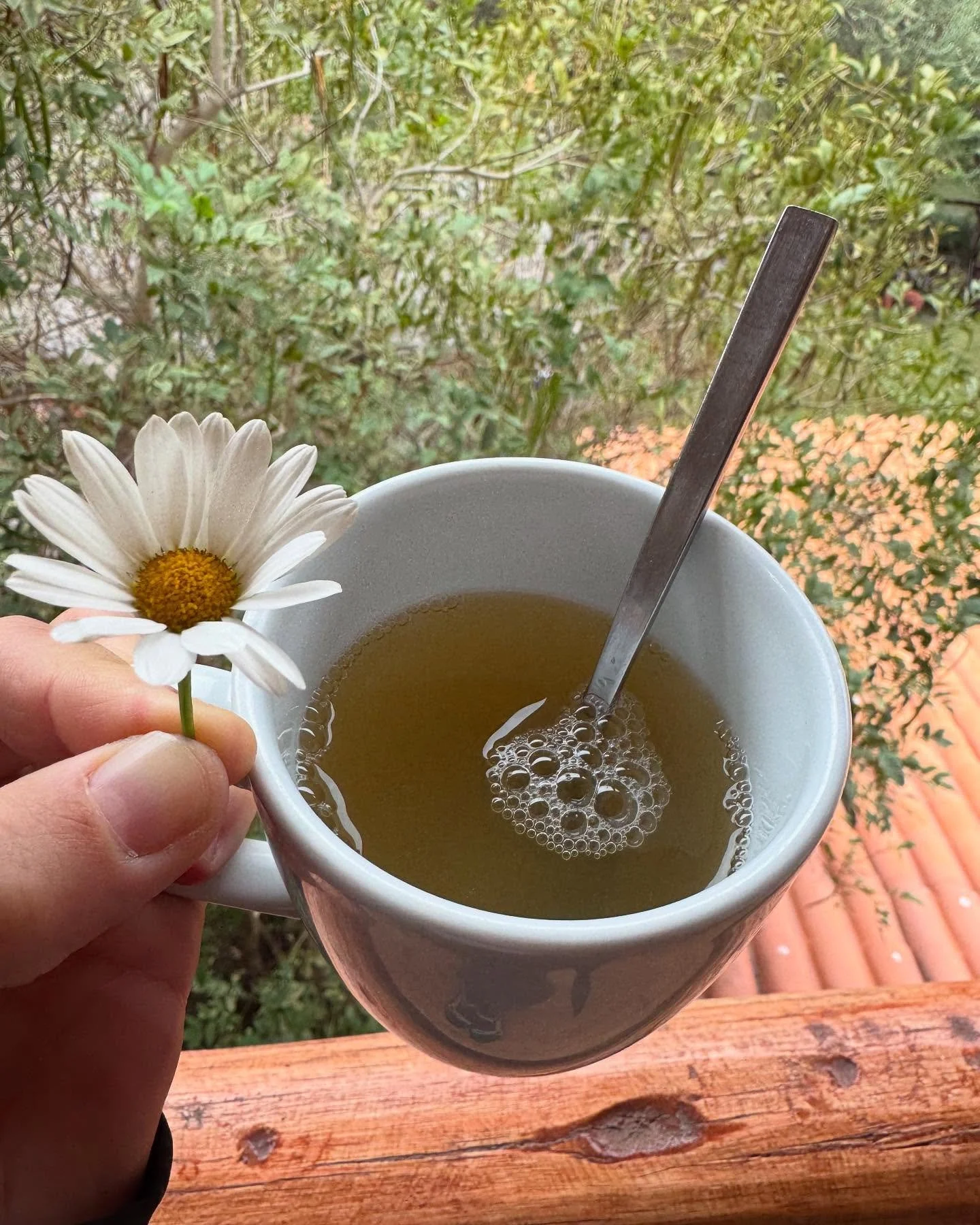 Valle Sagrado, Peru - June &lsquo;25 

🌿⛰️🪶🌵

Forever will my heart remember the energy of these sacred mountains, the teachings of the holy plants and the connections made💛