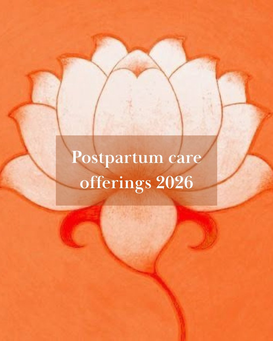 Motherhood can crack you open in the most beautiful&hellip; and confronting ways. It&rsquo;s tender. It&rsquo;s a lot. And you&rsquo;re not meant to hold it all on your own🧡

For 2026, I&rsquo;ve shifted the way I offer postpartum care. I still work