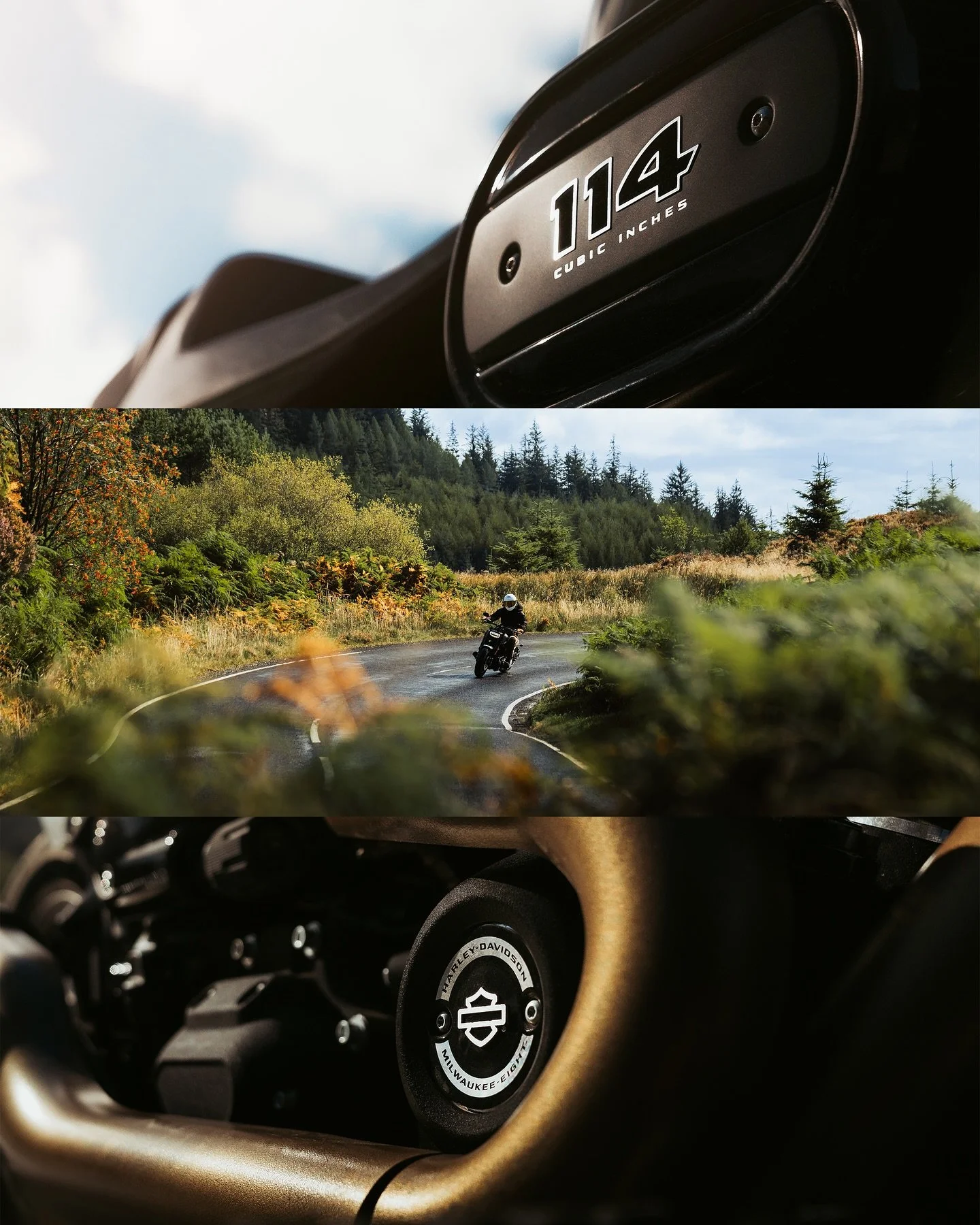 On the open road with the @harleydavidson_uk Fat Bob 114

🏍️: @salem.moto 
📸: @coiacreative 

#harleydavidson #fatbob #fatbob114 #harleydavidsonuk #harleydavidsonmotorcycles