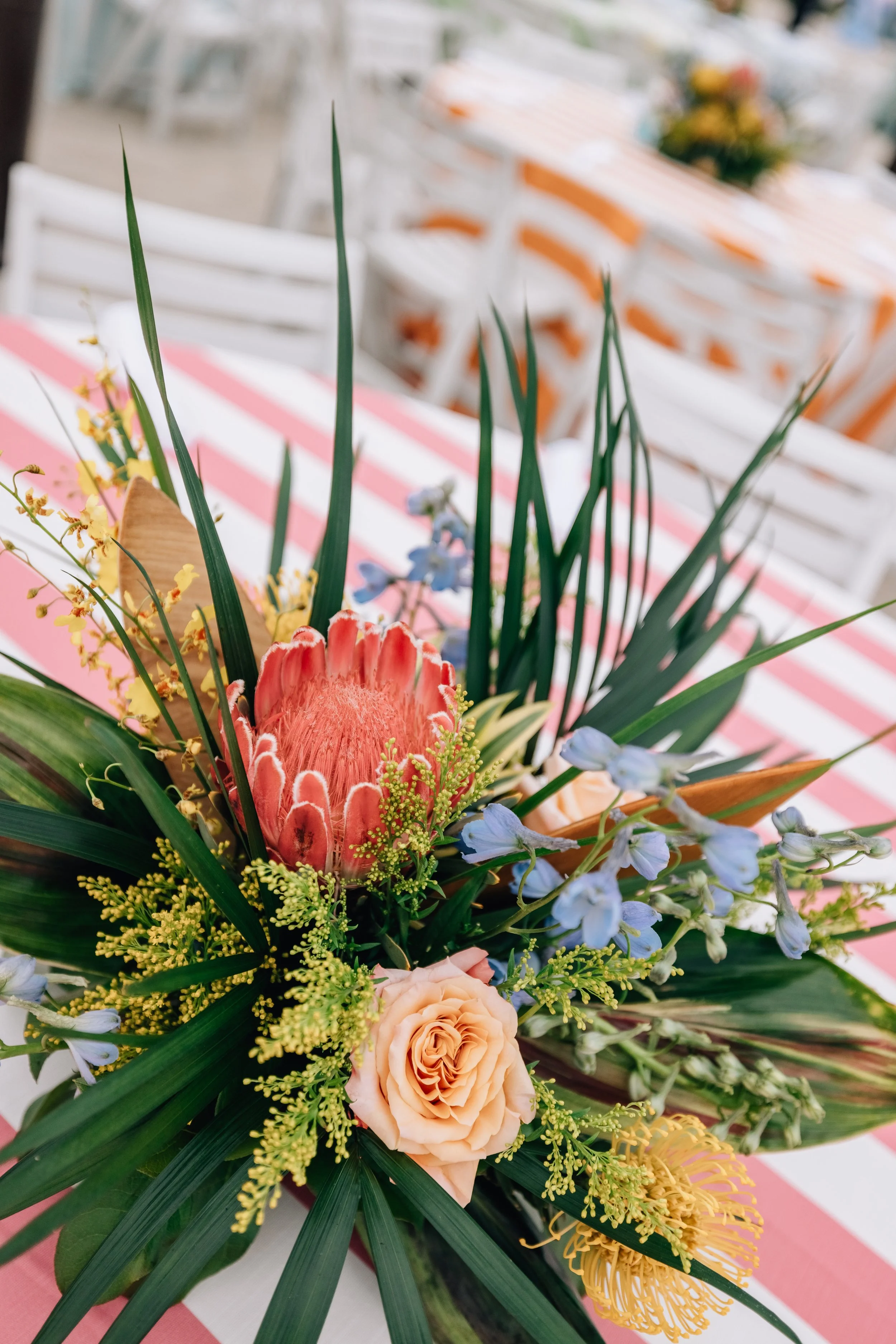 JennyThaiPhotography-50.jpg