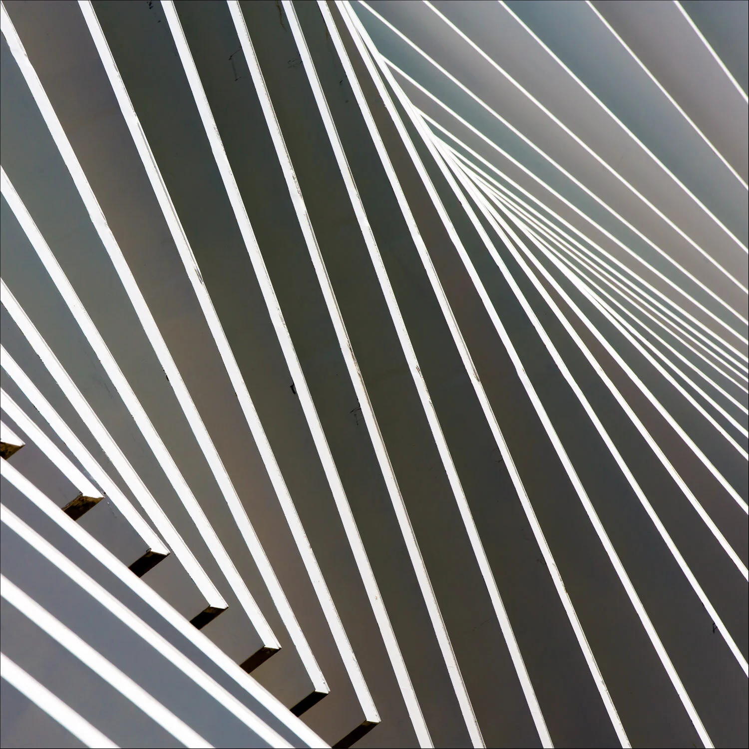 A line is a dot that's gone for a walk