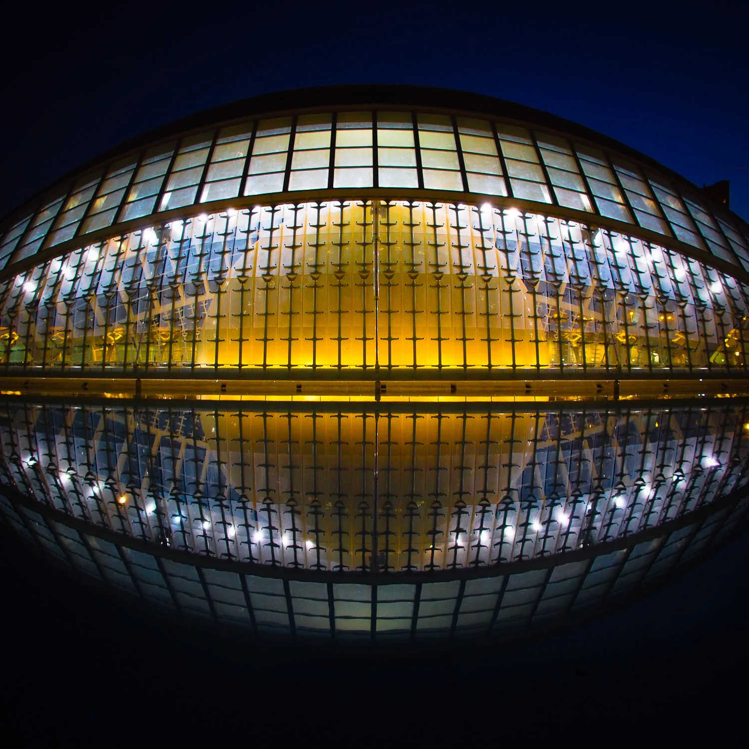 Olly and the mothership