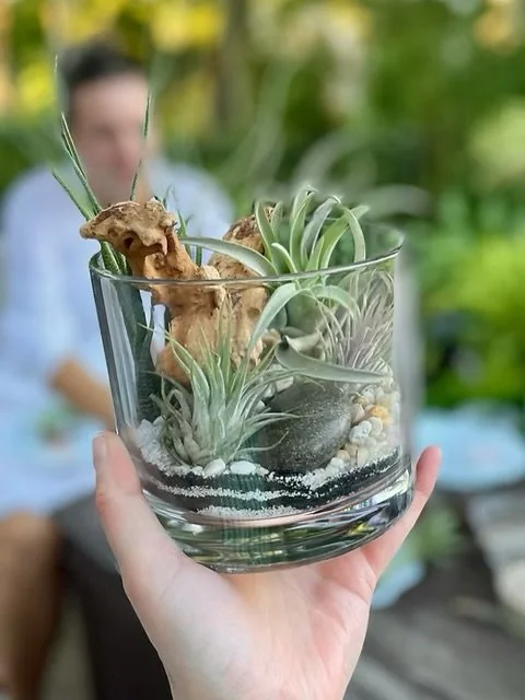 Join us for an Elevated Evening with GROW &amp; Chi-cuterie: Wine, Charcuterie &amp; Air Plant Design
This is an intimate after-hours event curated for creativity and connection. Each ticket includes a gorgeous charcuterie spread,  a glass of wine, a