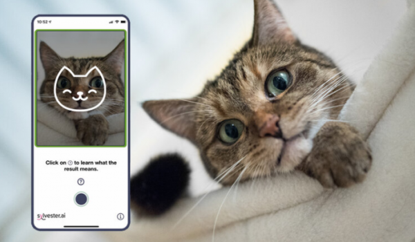 Tably App Uses AI to Help Cat Owners Know If Their Pets are Happy and Well | Tech Times
