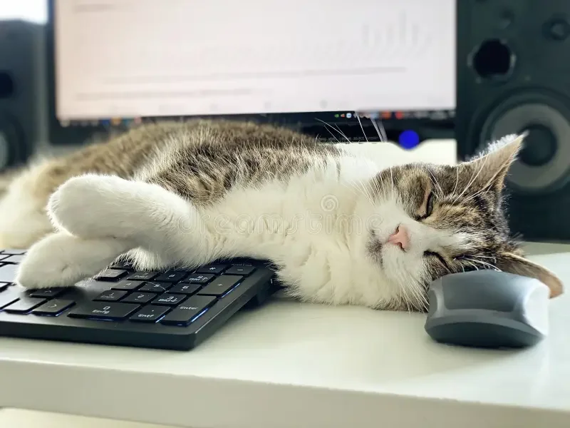 Sylvester.ai Highlighted in Computer Weekly for Transforming Preventative Cat Care