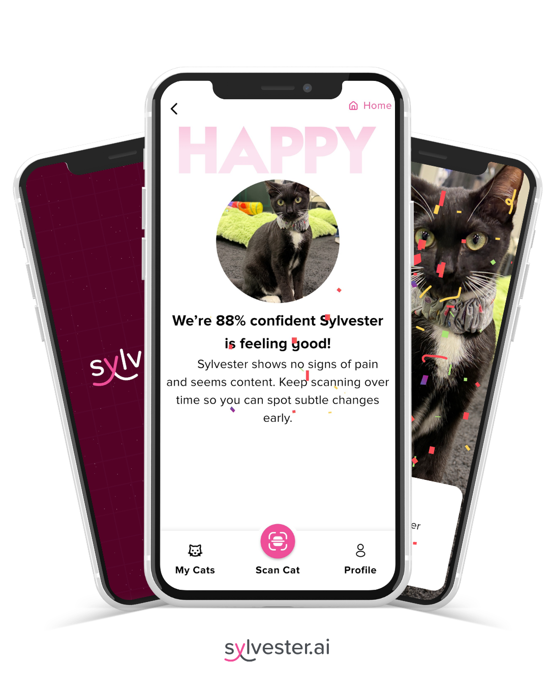 sylvester product images