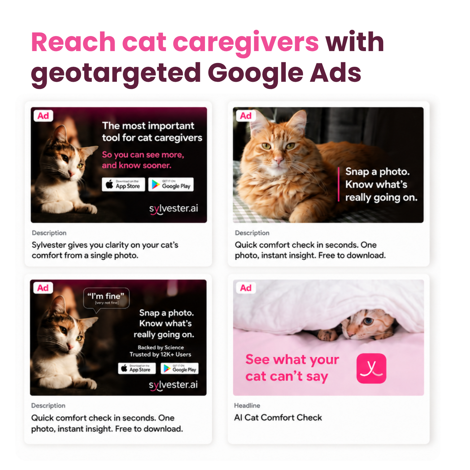 Examples of Sylvester Connect geo-targeted Google Ads promoting the Cat Comfort Check to local cat caregivers