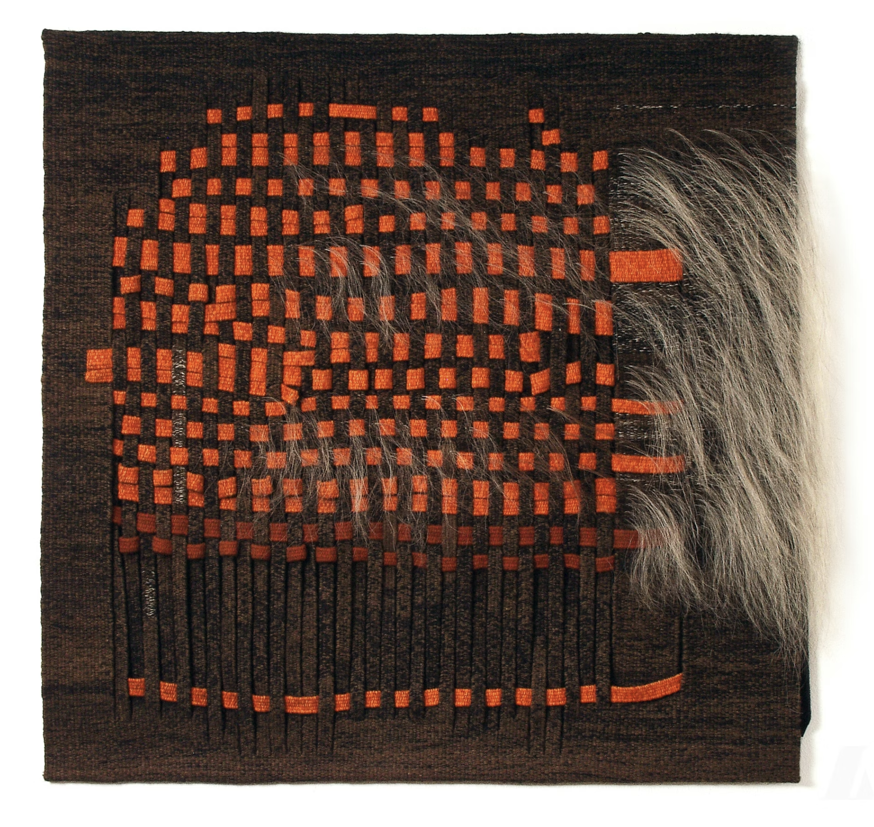 Ásgerður Búadóttir - Hrævareldur