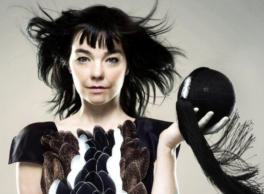 Björk Guðmundsdóttir wearing Plover Breast (Lóubrjóst) and holding Bombshell / Skotthúfubomba. Photo by Vera Pálsdóttir.
