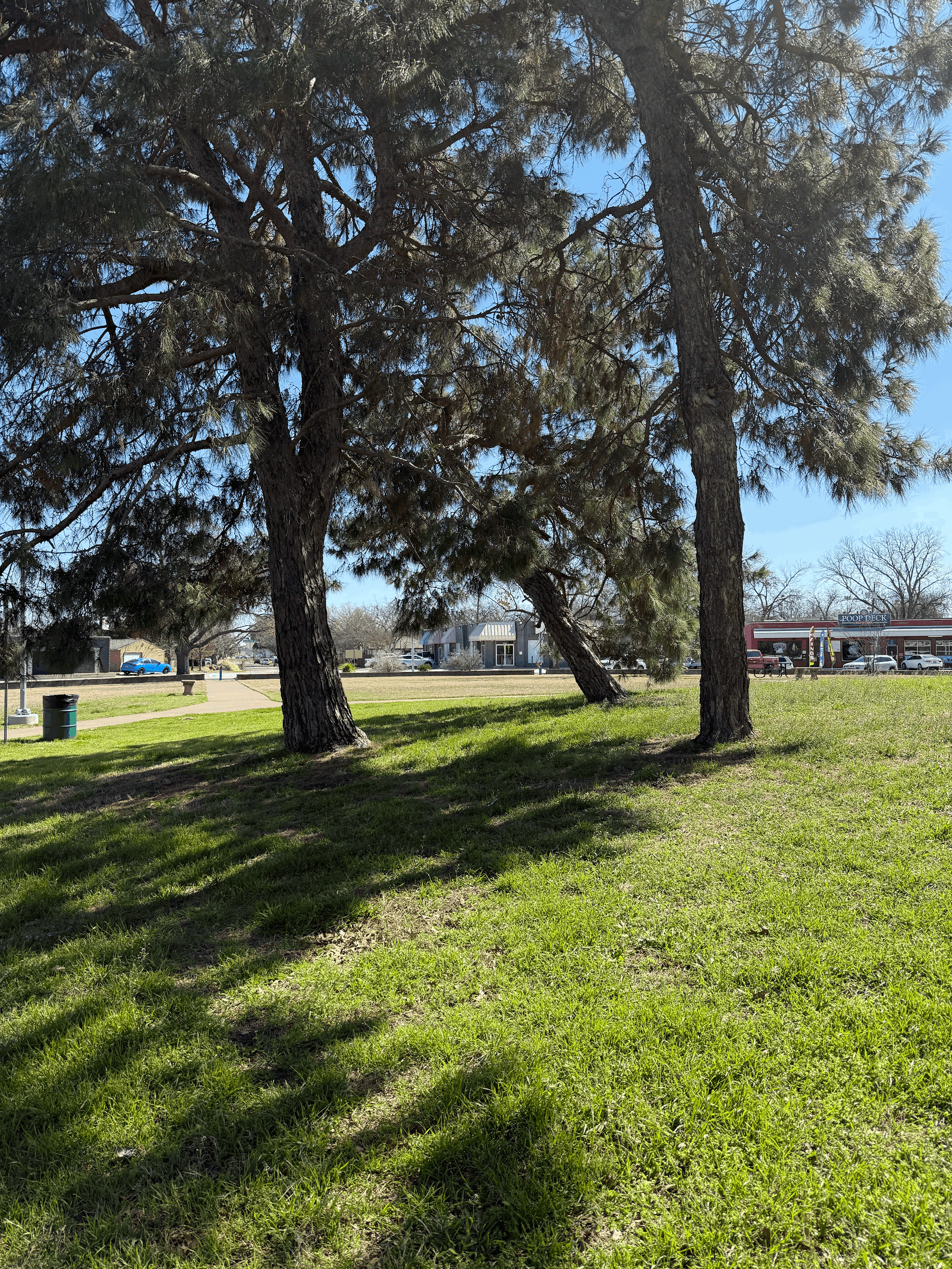 Distraction-Free Park Rx