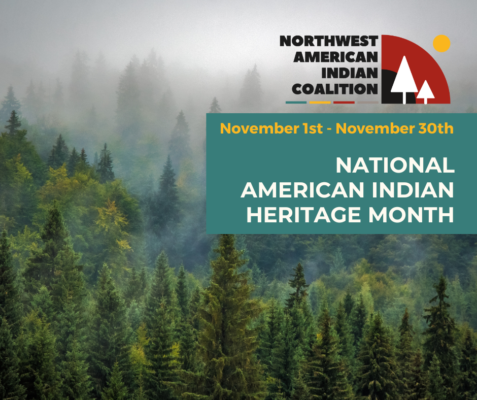 National American Indian Heritage Month: Celebrating Culture and Understanding History