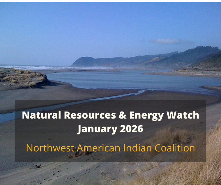 Natural Resources &amp; Energy Watch — January 2026