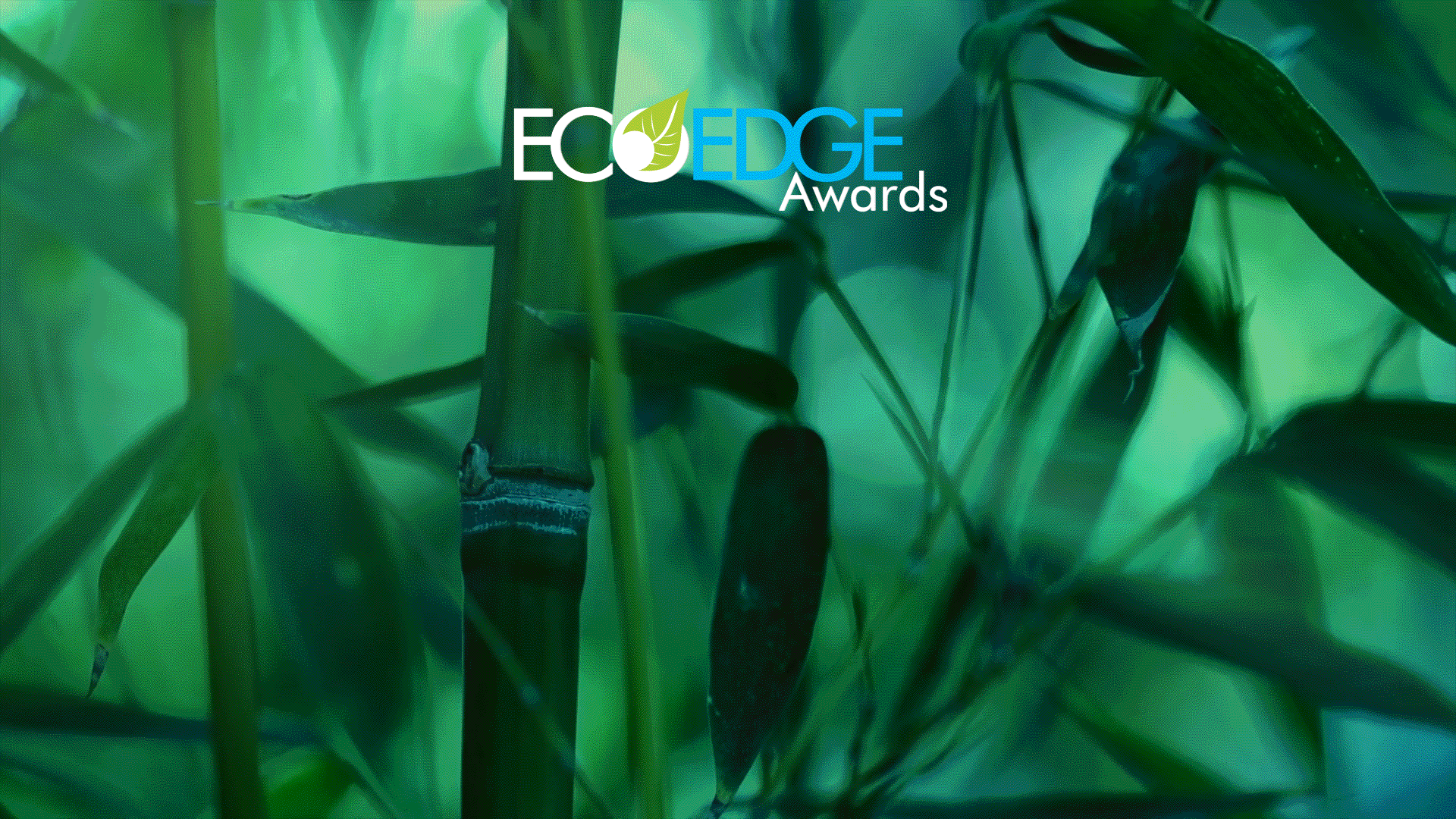 MicroSite_ECO_Vid_smallgif.gif