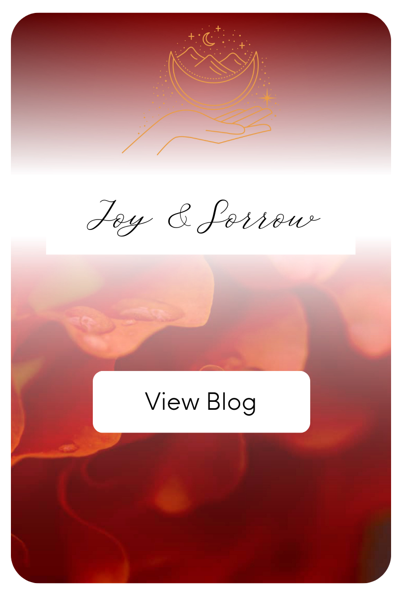 9 Joy & Sorrow.png