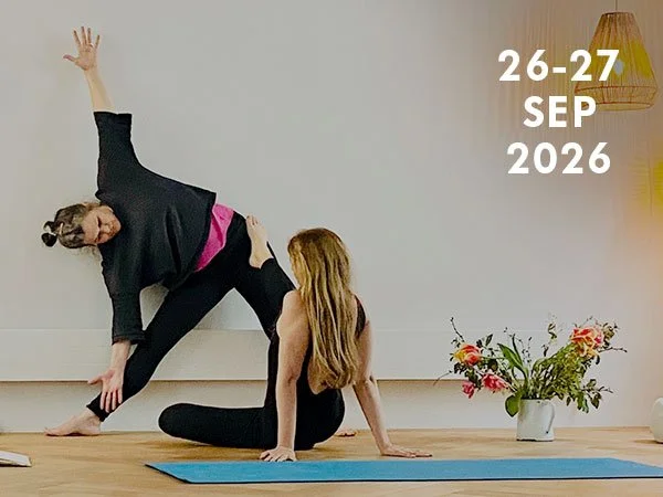 ADJUSTMENT & ALIGNMENT Workshop mit Maya