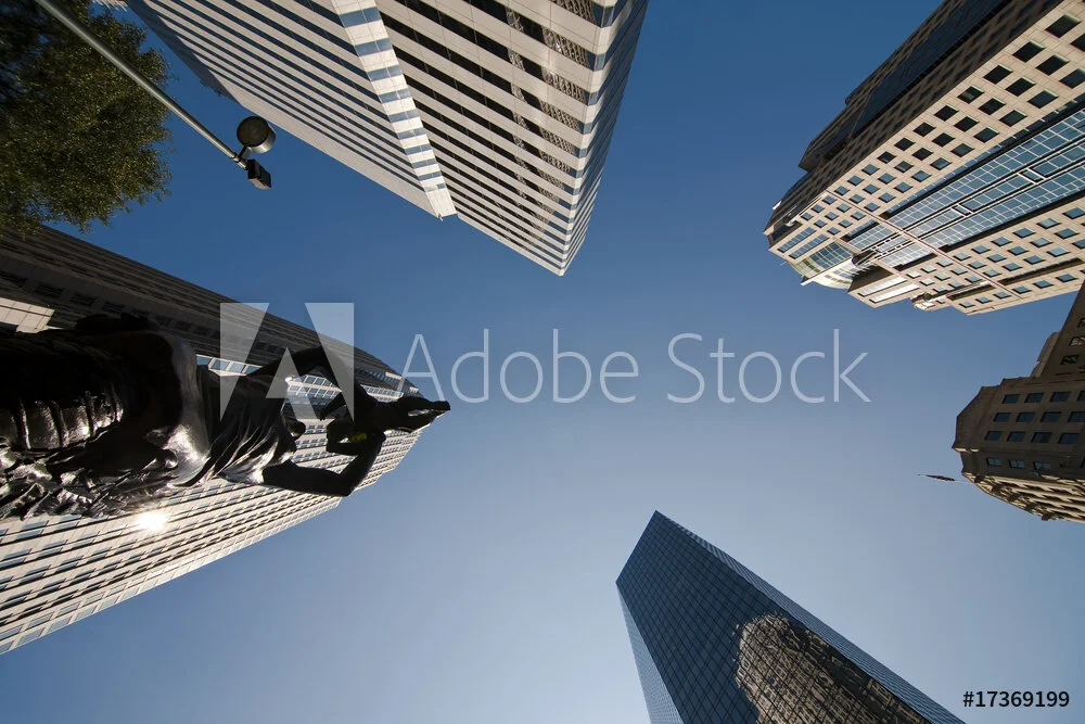 Neighborhood Stories