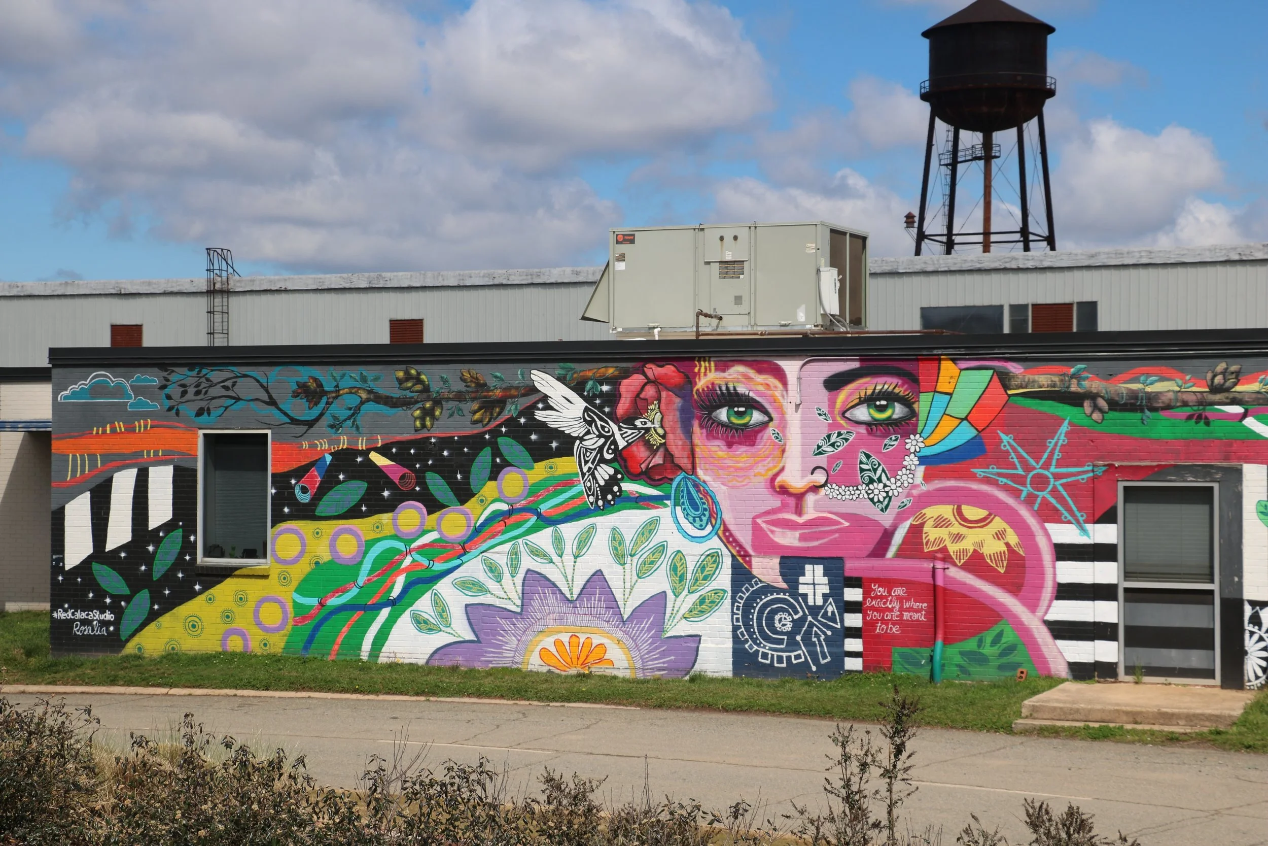 Charlotte Viewpoint - Archive No. 2 - Dec. 2, 2023