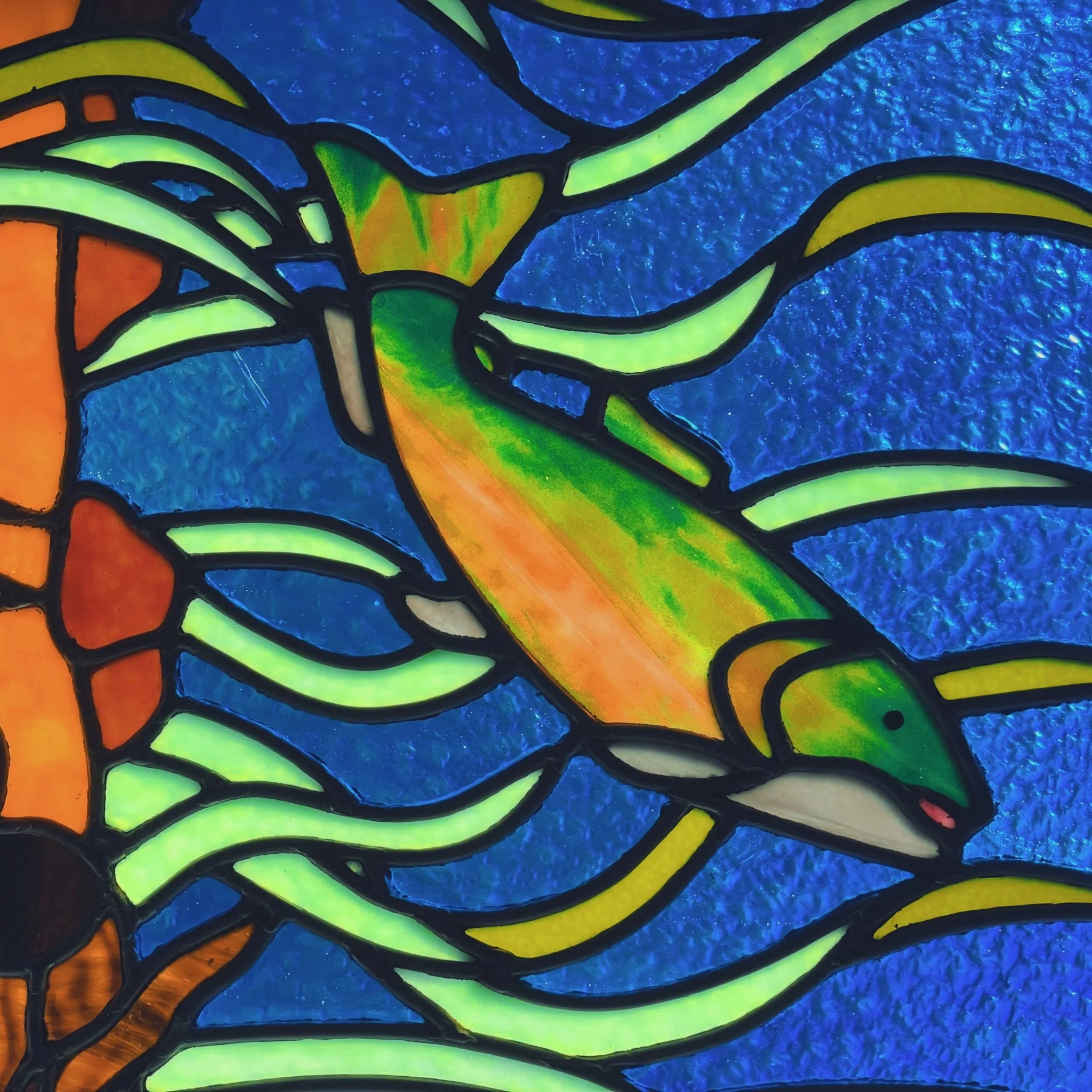 Trout-for-SHOUT-scaled (1).jpg