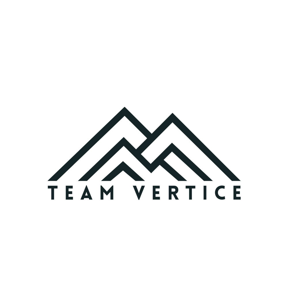 Team Vertice | Fractional Leadership For B2B Companies