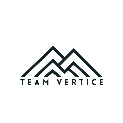 Team Vertice | Fractional Leadership For B2B Companies