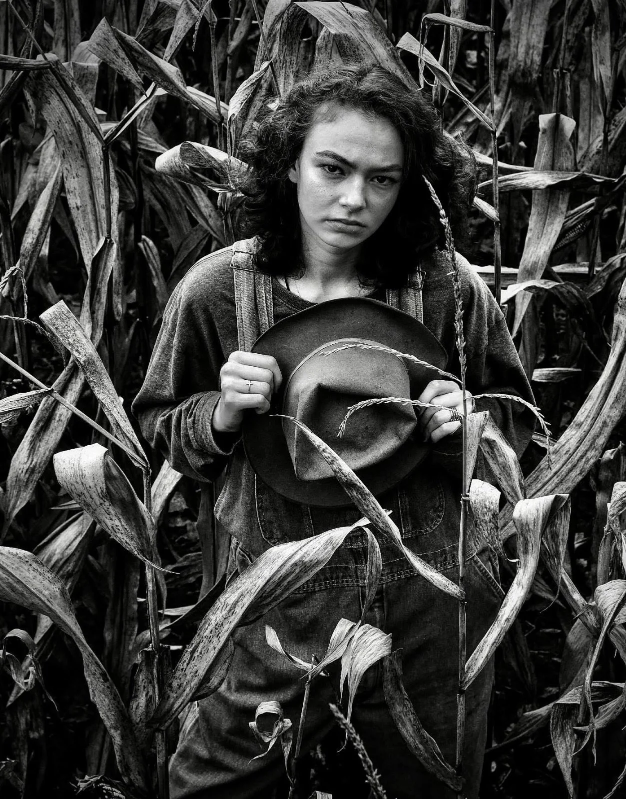 Black, White, and Shades of Gray