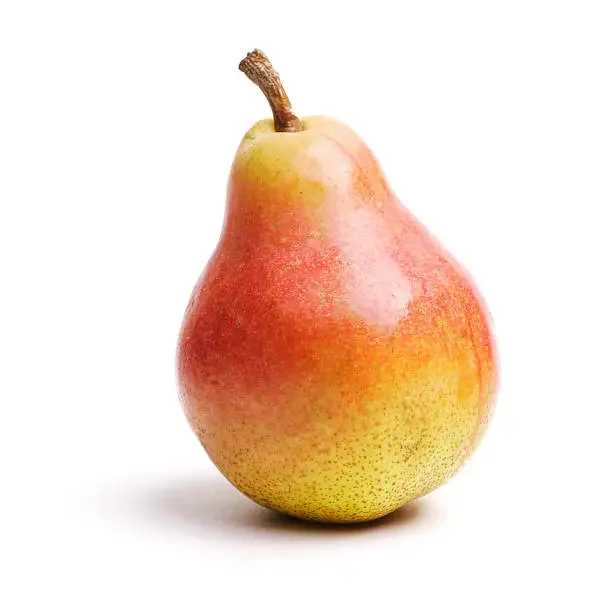 December: Colored Pencil Color Theory & Pear