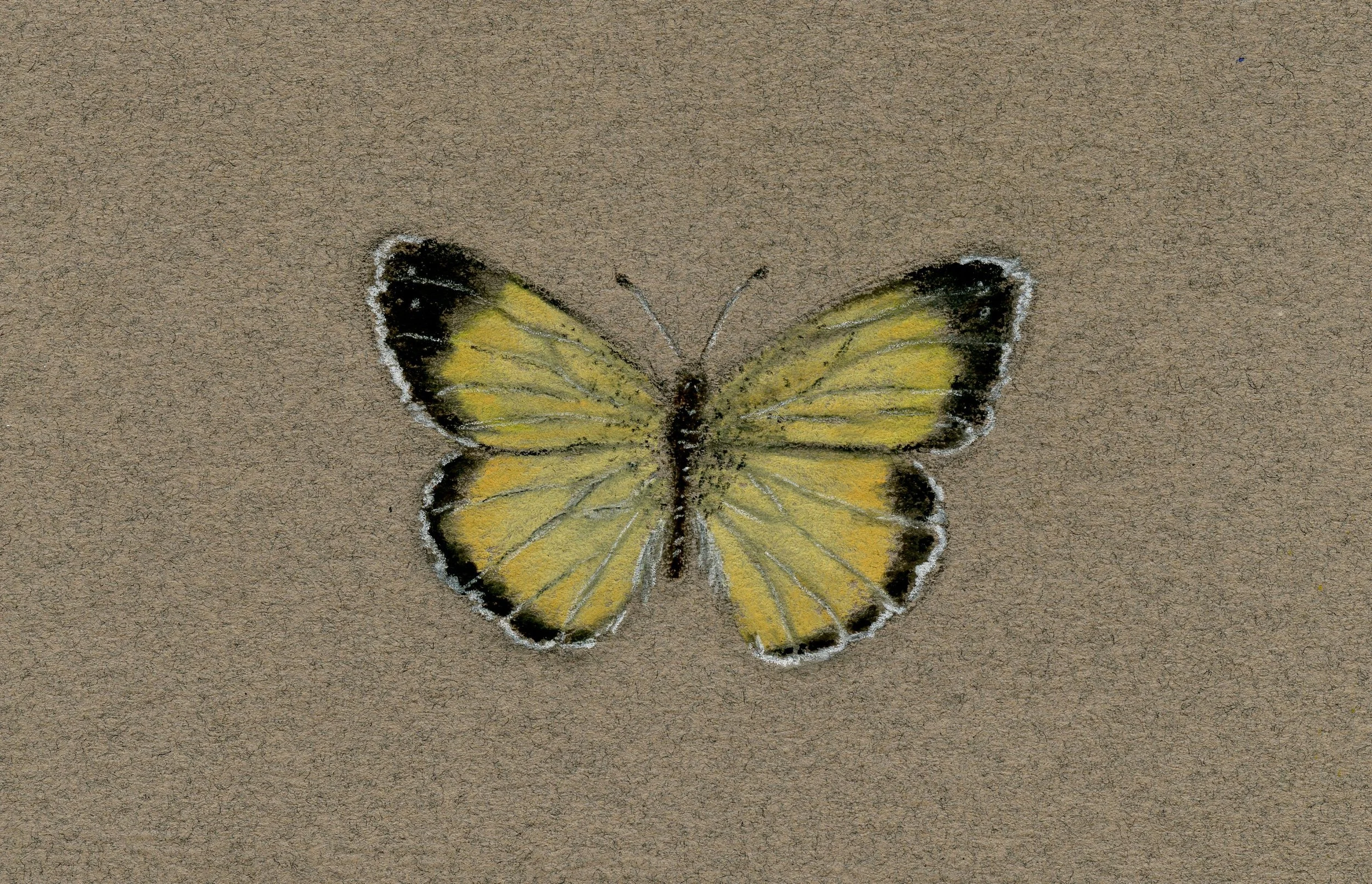 April: Pastel Butterfly Class