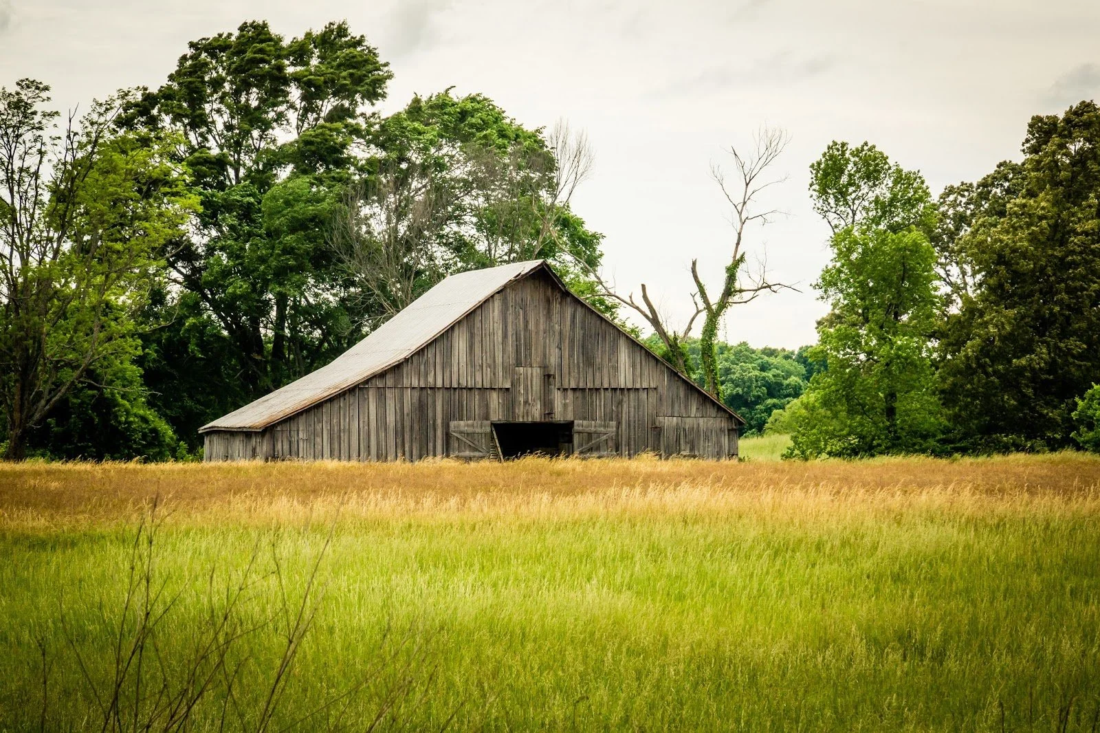 July: Colored Pencil Class - Barn