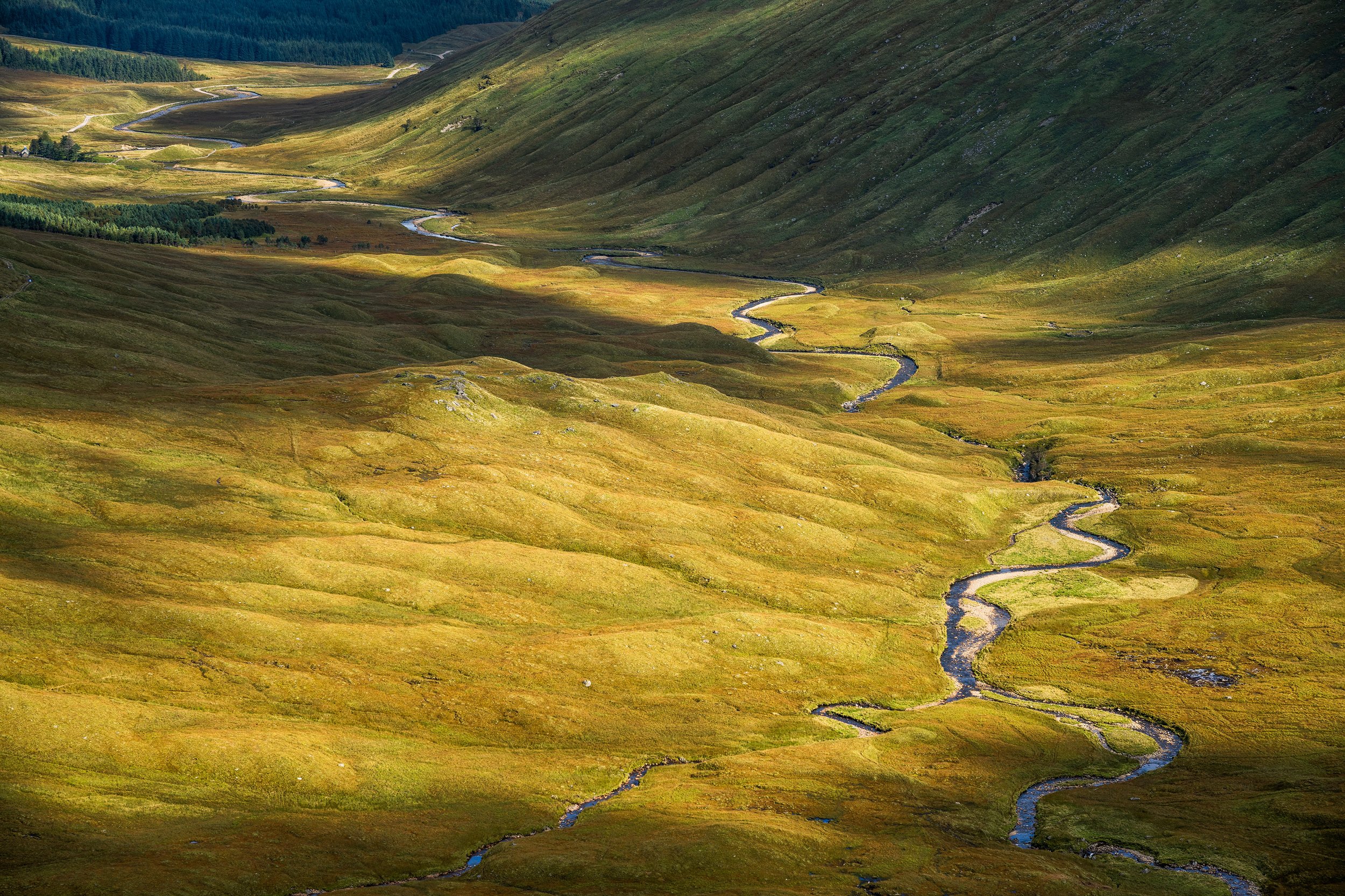 DSC_2803-Edit.jpg