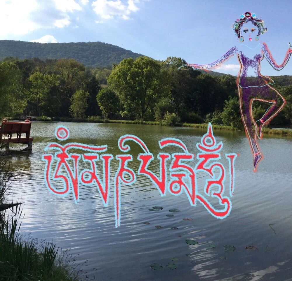 Spontaneous appearance of the Lotus Dakini and Mani mantra in Stanley, Virginia, 2014 (Photo/illustration by N. L. Drolma)