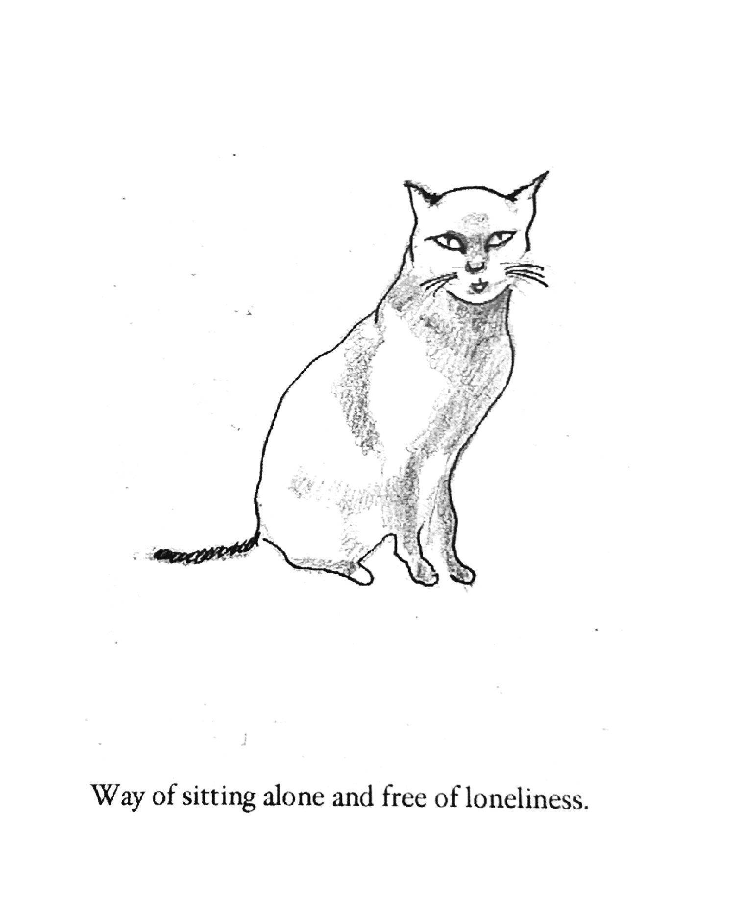cat-sits-alone-dharma-cartoon-nldrolma+3.jpg