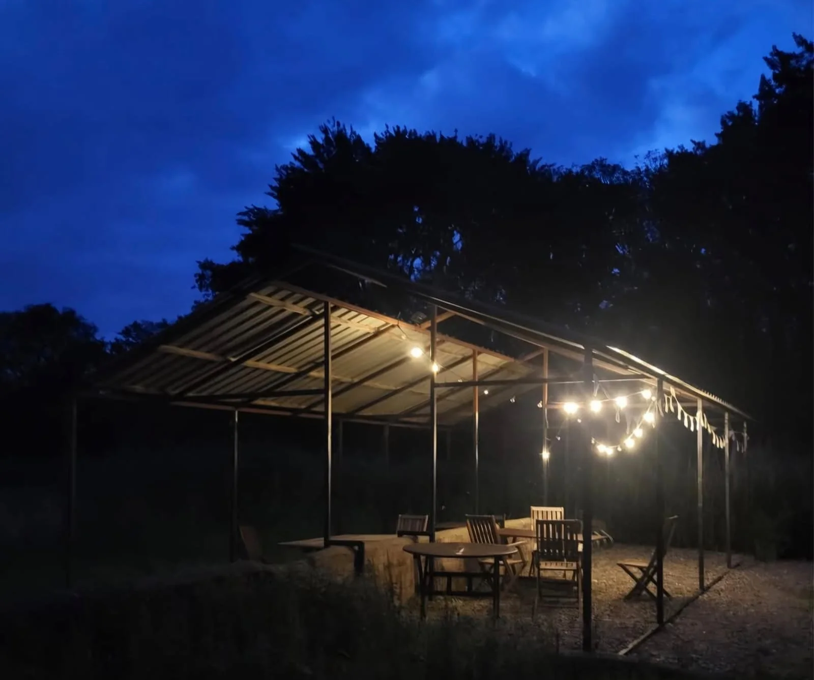 95d04b87-6c78-477f-a25c-6533419678fc (1).jpeg