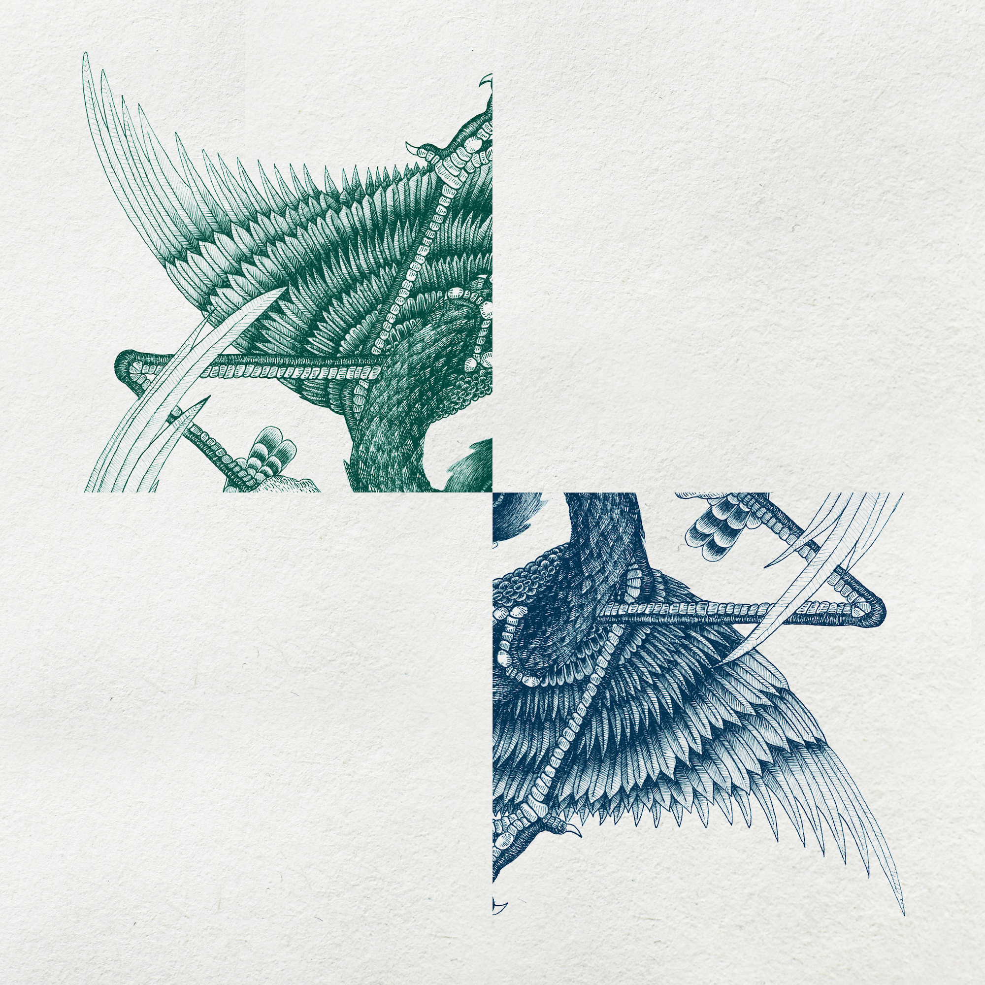 thunderbird v2 copy.png