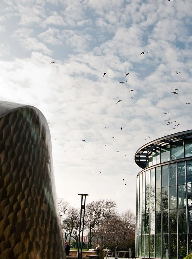[IMG] sunderland-museum-and-winter-gardens-new-journo.jpg