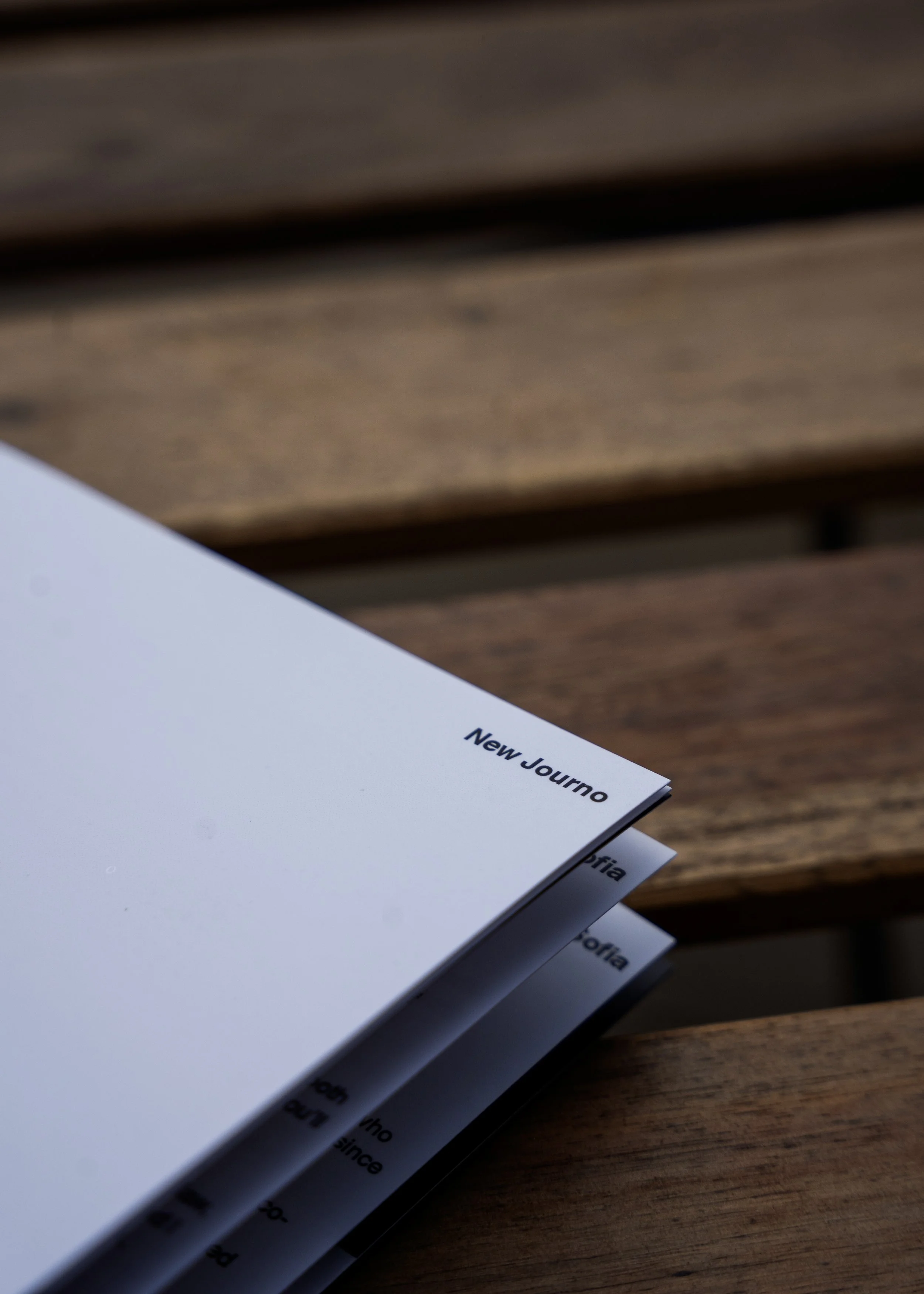 New_Zine: Inside Sunniside [Edition III]