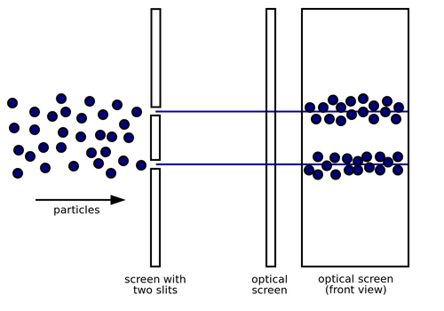 Smitter Effect What About the Quantum Physics Observer Effect? — Larry Gottlieb Author