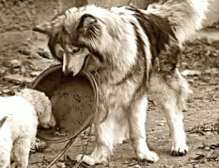 Have You Done Any of These Acts of Kindness Lately?