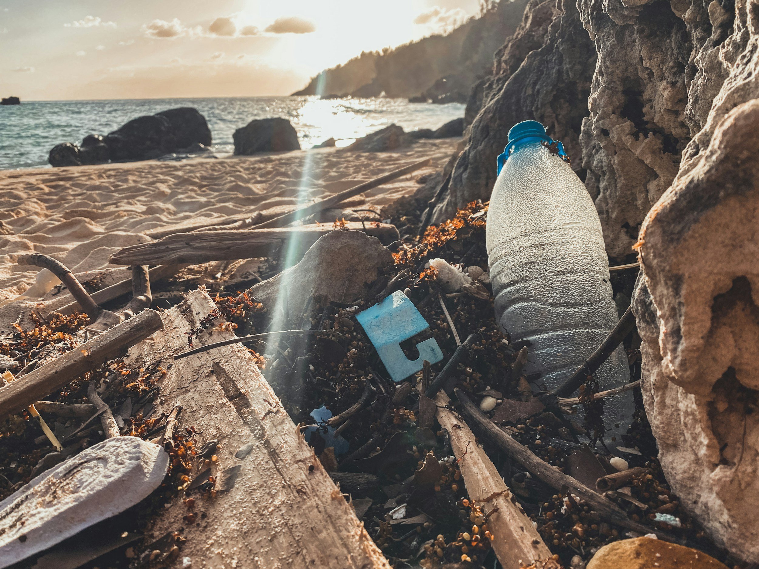 Microplastics and Your Health: Hormones, Fertility, Brain Health &amp; How to Reduce Exposure