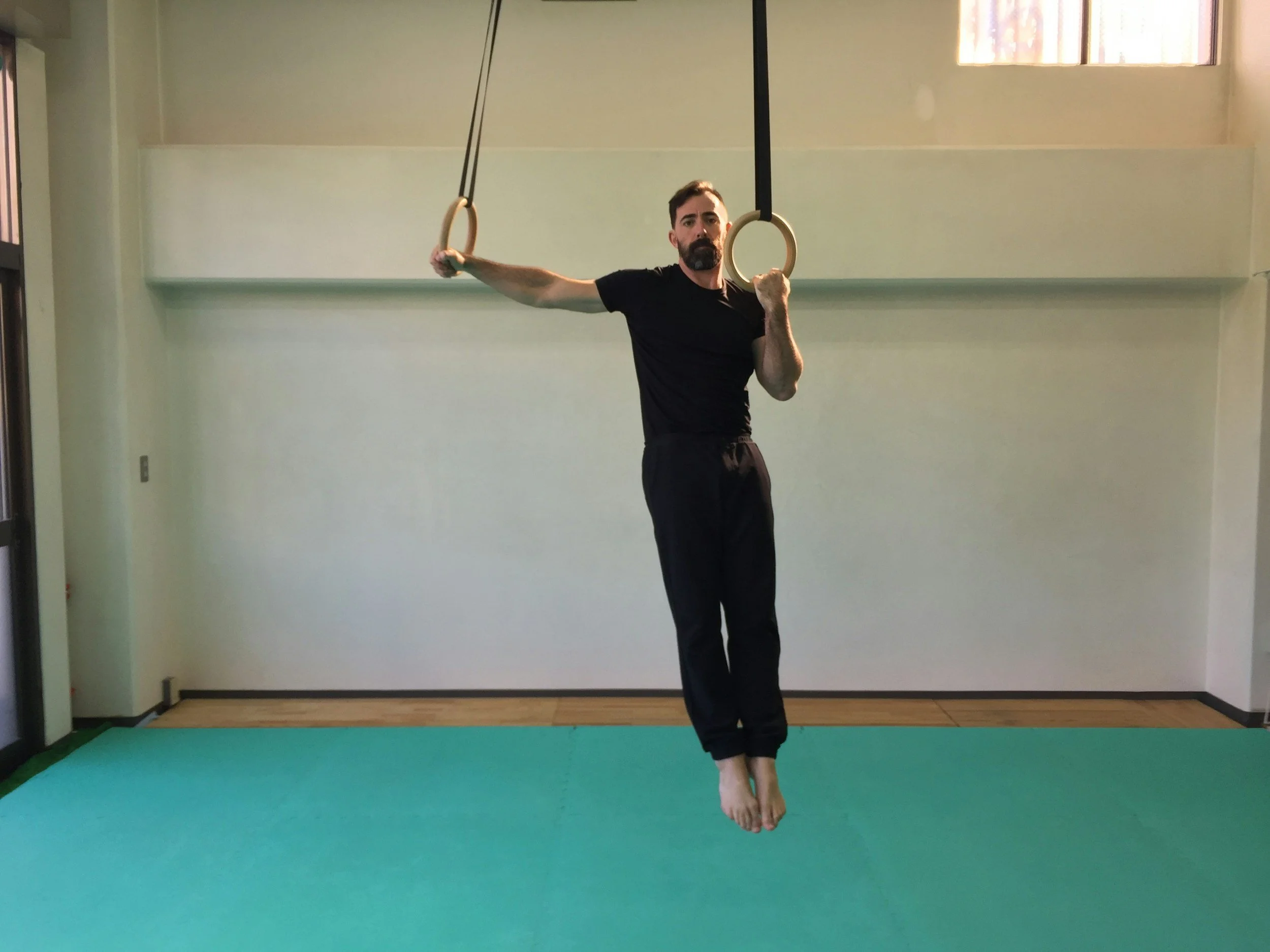 What Are the Best Online Resources for Learning Calisthenics?